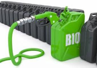 В Украине хотят отменить регистрацию производителей жидкого биотоплива и биогаза