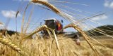 Ціни на продукти в Україні наздогнали європейські: чого чекати восени