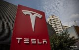 После курения марихуаны Илоном Маском акции Tesla обвалились на 10%