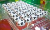 &laquo;Лотерейная компания&raquo; отмыла 5,6 млн грн