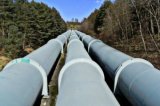 Cabinet of Ministers Jeopardizes Future of Ukraine as Gas Transiter - Energy Community