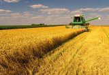 Експерт розповів, скільки в Україні коштує агробізнес &laquo;з нуля&raquo;