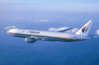 Міжнародні експерти розпочали роботу з вивчення обставин трагедії літака Malaysia Airlines