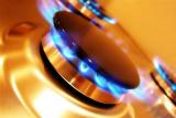 РФ установила цену на газ для РФ