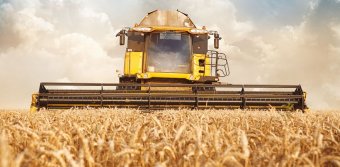 Агросектор формирует 18% ВВП Украины &ndash; Гройсман