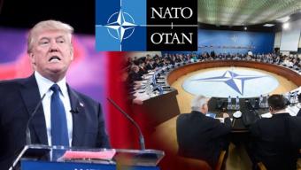 Дональд Трамп заявил о решительной поддержке НАТО