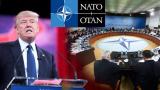 Дональд Трамп заявил о решительной поддержке НАТО