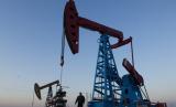 Нефть дешевеет из-за переизбытка предложений