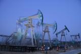 ОПЕК сохранила прогноз по росту потребления нефти в 2014-2015 гг.