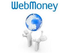 Міндоходів виявило порушення у компанії-гаранта системи «Web Money Transfer»
