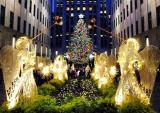 У Нью-Йорку запалили вогні на головній різдвяній ялинці (фото, відео)