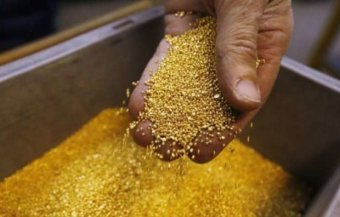 U.S. Company Will Invest USD 100 Mln in Gold Extraction in Ukraine