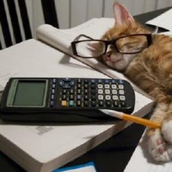 How to fill the &laquo;Chief Accountant&raquo; line if there is no CA