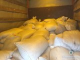 На Житомирщині поліція вилучила рекордну партію нелегального бурштину