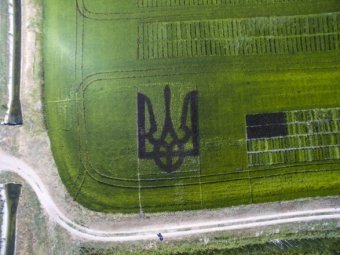 Украинских фермеров будут контролировать через спутники