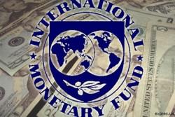 МВФ перегляне економічний прогноз на 2014р.
