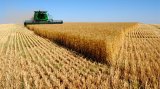 В АПК разворовали 2 млрд грн &mdash; НАБУ