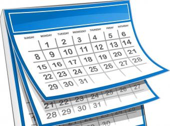 Tax calendar as of December 19