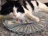 Foreign exchange market indicators as at August 28, 2017