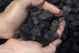 ДТЕК визнав, що вугілля в тарифі «Ротердам+» не відповідає вимогам зовнішніх ринків