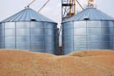 Косюк за полгода получил из бюджета 42% всех дотаций для аграриев
