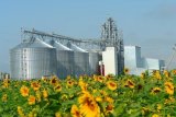 "Агролига" намерена осенью начать строительство ТЭС