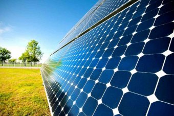 Supreme Business Group планирует инвестировать в строительство солнечных электростанций в Украине