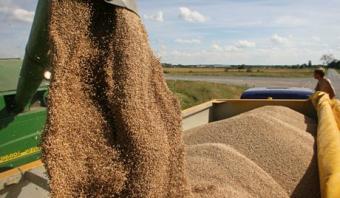 Україна побила рекорд з експорту зерна