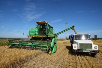 Українські аграрії намолотили майже 15 мільйонів тонн зернових