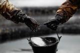 Нефть дешевеет из-за роста ее запасов в США