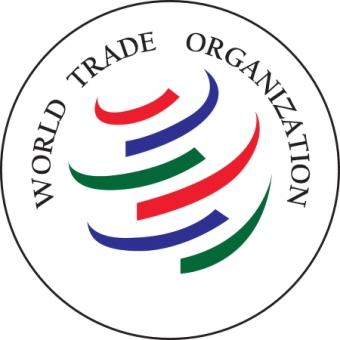 Ukraine Proposes WTO to Create Unified Portal of Tender Announcements