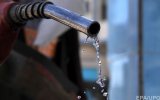 Порошенко оголосив війну нелегальним АЗС &ndash; ЗМІ