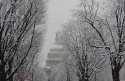 У Вашингтоні через снігову бурю закриваються держустанови