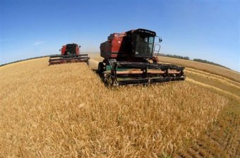 Украинские аграрии уже намолотили 33,4 миллиона тонн зерновых