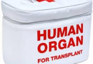 Внесено зміни до законодавства про донорство органів