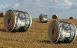 Світовий банк обіцяє дати грошей на земельну реформу