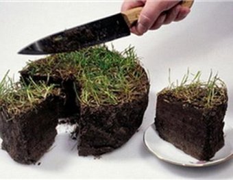 Мораторій на продаж землі &laquo;поставили на паузу&raquo;