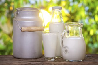 Держава заборгувала виробникам молока більше 24 мільйонів гривень