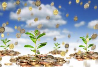 Інвестиції в агросектор України з початку року зросли майже на 60%