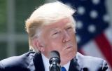 Против Трампа подали иск более 190 конгрессменов