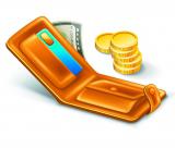 A private entrepreneur and cash settlements: restrictions and responsibility