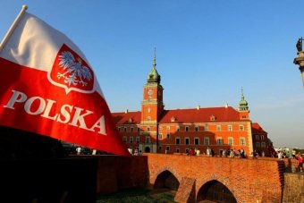 5% украинцев в Польше занимаются интеллектуальным трудом - исследование