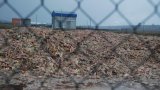 Собственника "Гавриловских курчат" задержали из-за экологического преступления