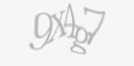Захисний код